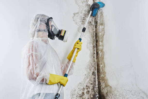 Best Crawl Space Mold Removal  in Riverbank, CA