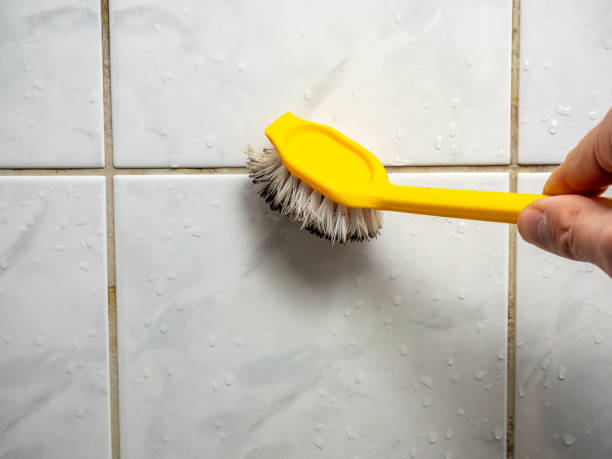 Home Mold Removal in Riverbank, CA