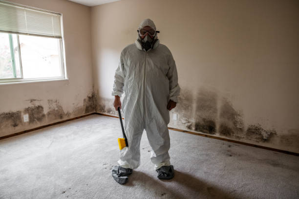 Best Attic Mold Removal  in Riverbank, CA