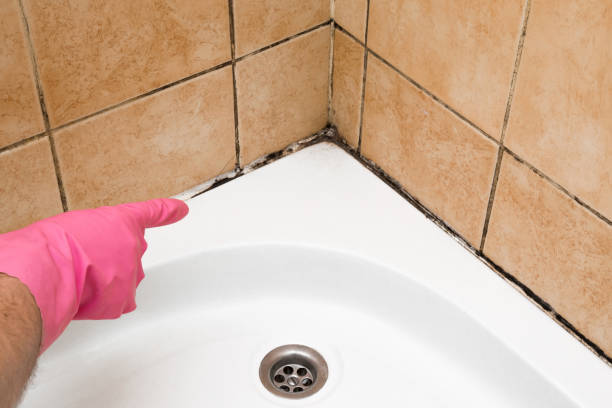 Home Mold Removal in Riverbank, CA